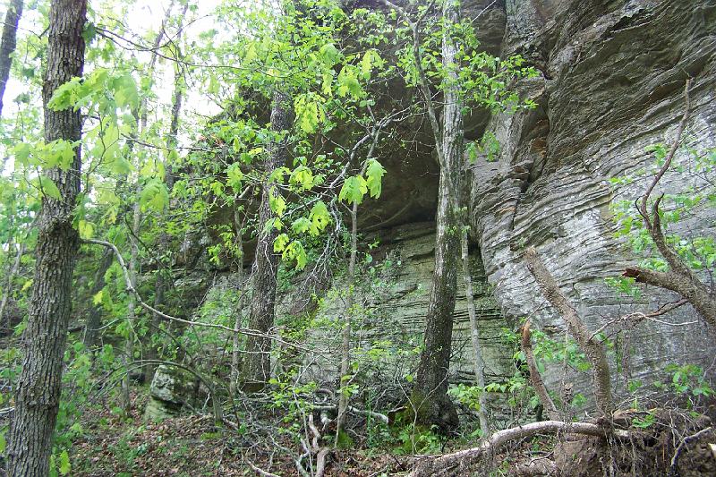 100_2296.JPG