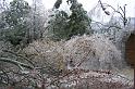 100_1900